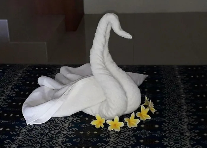 アグス サヌール